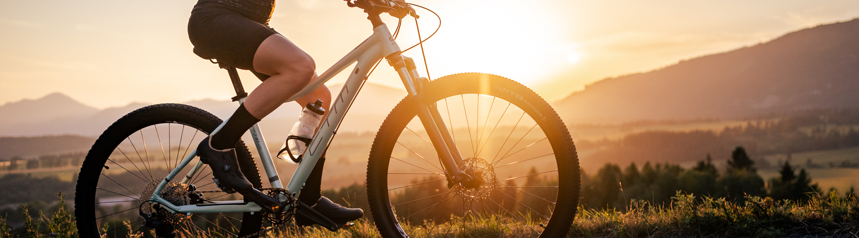 MTB