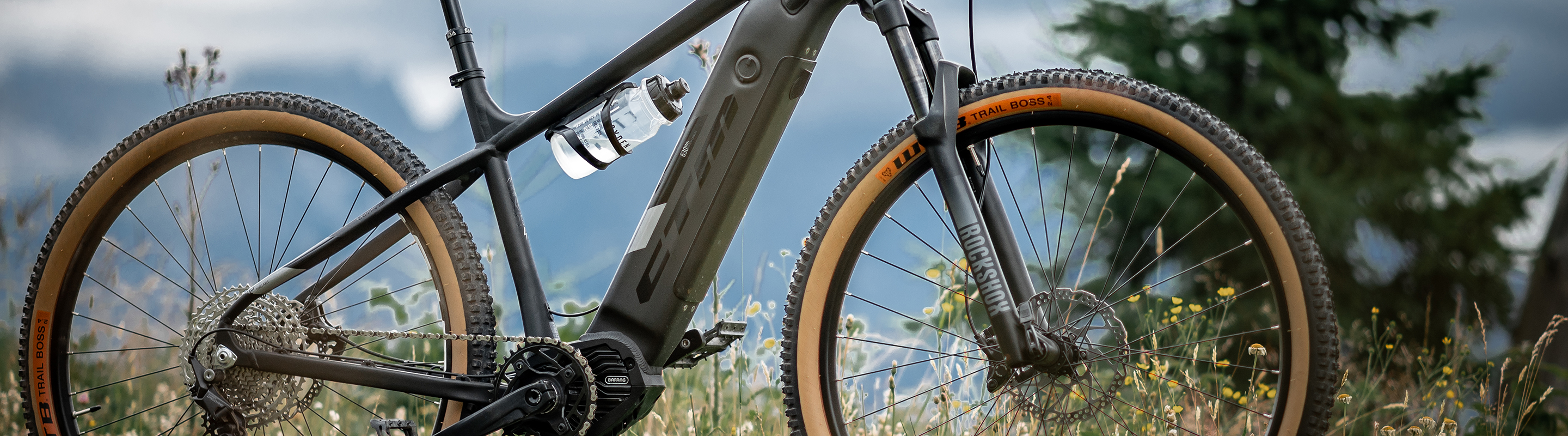 e-MTB hardtail