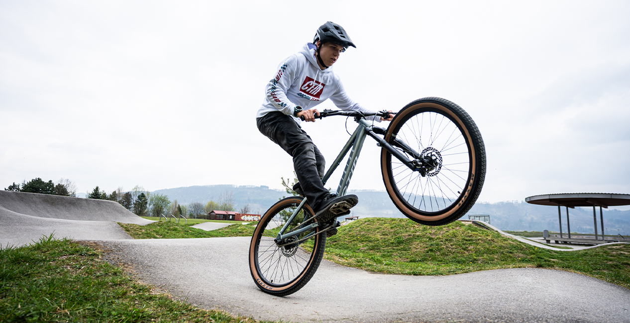 Dirtking