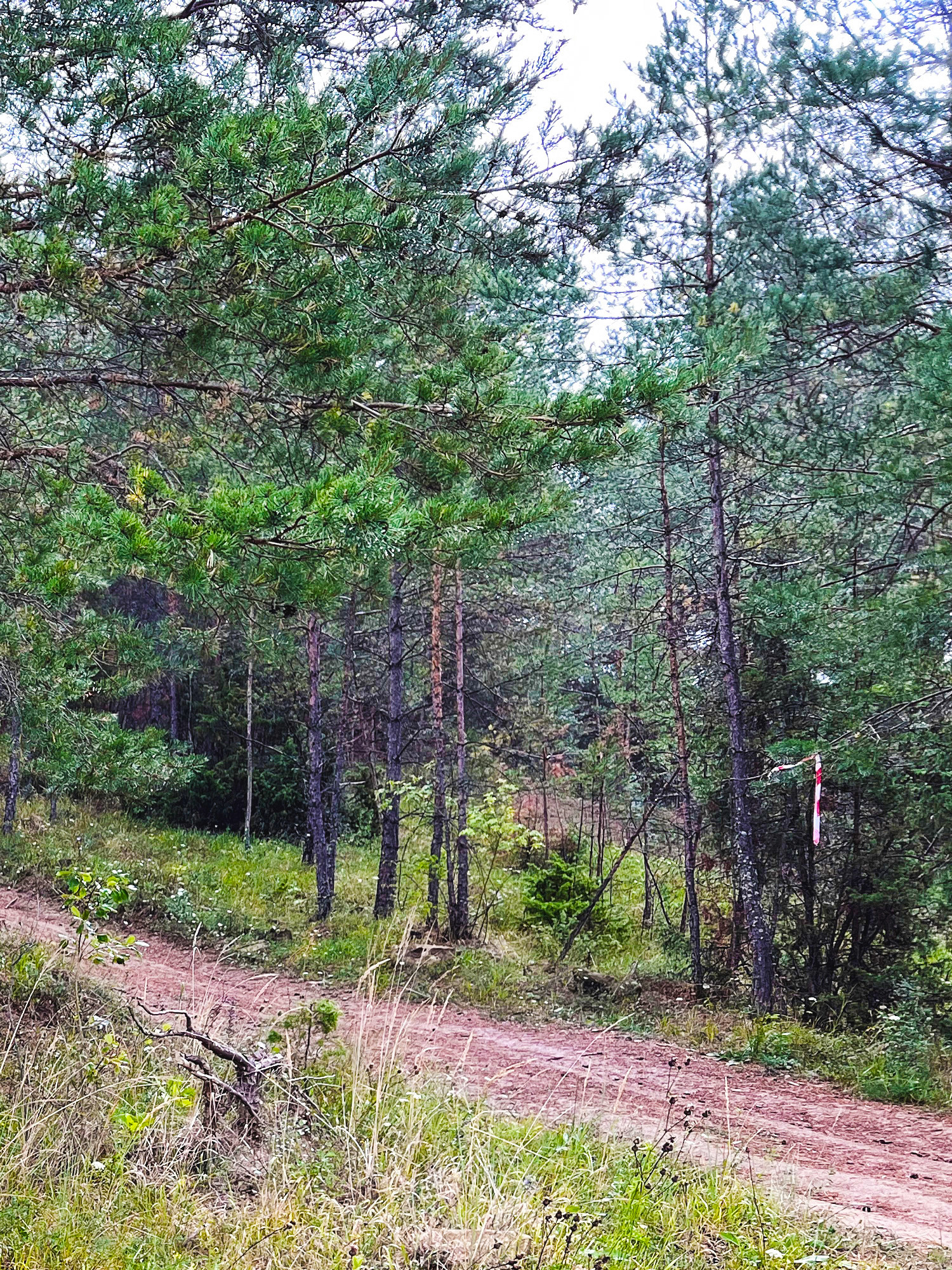 Nový Trailpark v okolí Spišského hradu