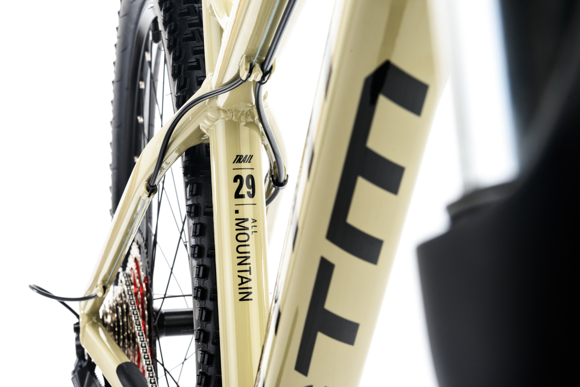 Giant fathom desert sand 2025