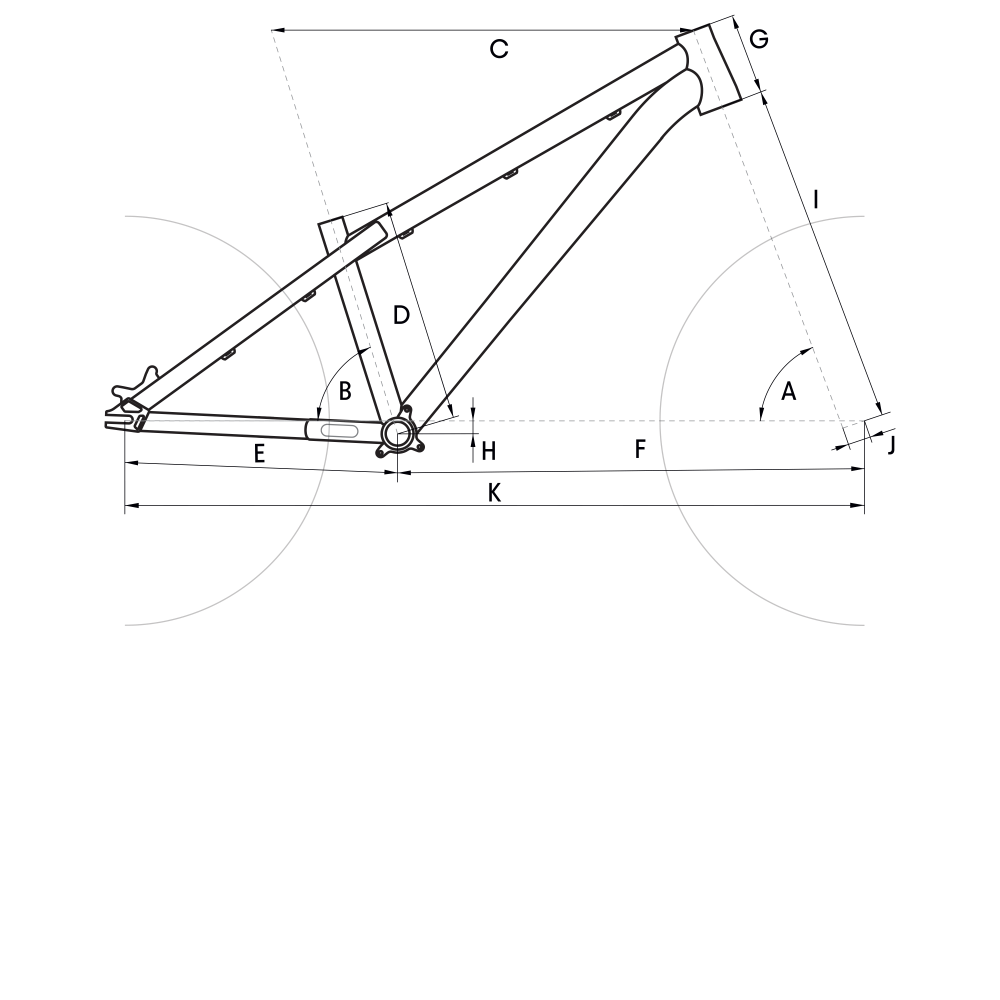 Geometry DIRTKING Pro